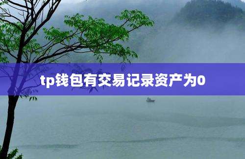 tp钱包有交易记录资产为0