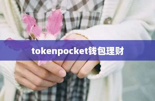 tokenpocket钱包理财