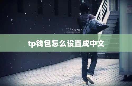 tp钱包怎么设置成中文