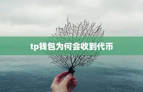 tp钱包为何会收到代币