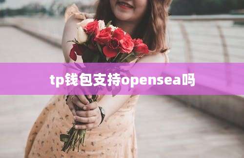 tp钱包支持opensea吗