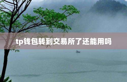 tp钱包转到交易所了还能用吗