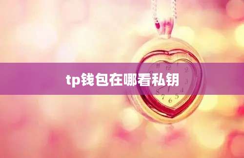 tp钱包在哪看私钥