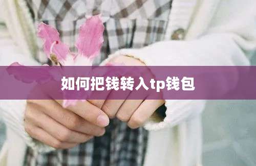 如何把钱转入tp钱包