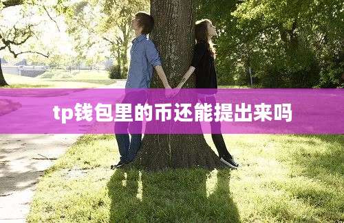 tp钱包里的币还能提出来吗