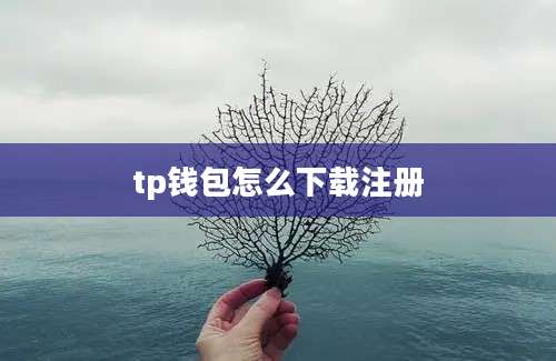 tp钱包怎么下载注册