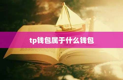 tp钱包属于什么钱包