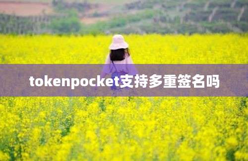 tokenpocket支持多重签名吗
