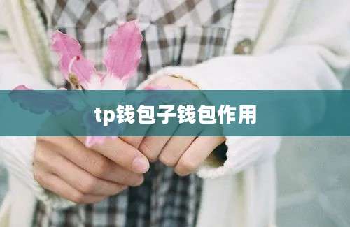 tp钱包子钱包作用