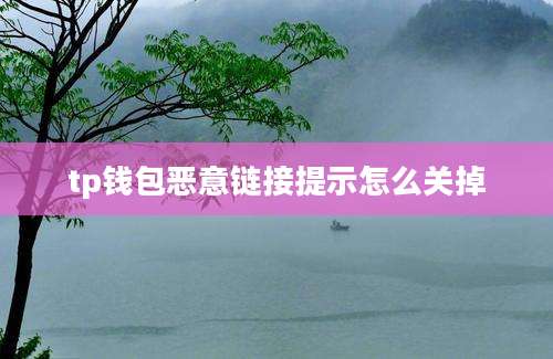 tp钱包恶意链接提示怎么关掉