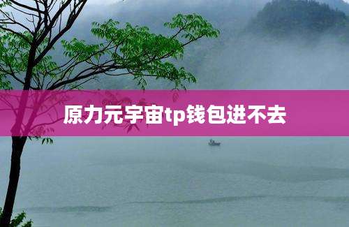 原力元宇宙tp钱包进不去