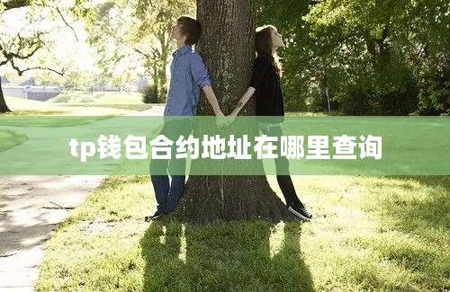 tp钱包合约地址在哪里查询