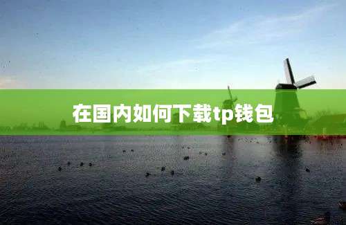 在国内如何下载tp钱包