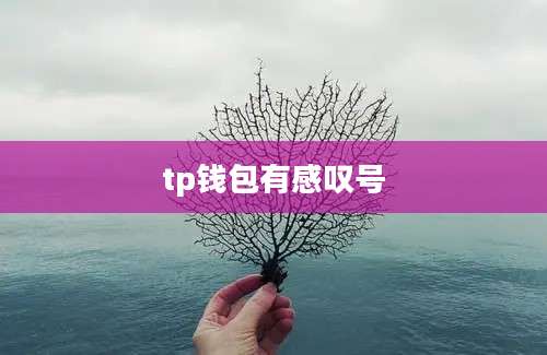 tp钱包有感叹号