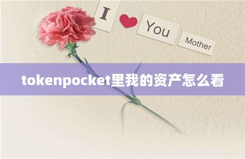 tokenpocket里我的资产怎么看
