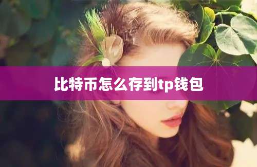 比特币怎么存到tp钱包