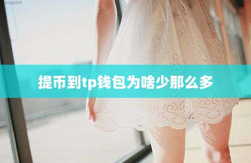 提币到tp钱包为啥少那么多