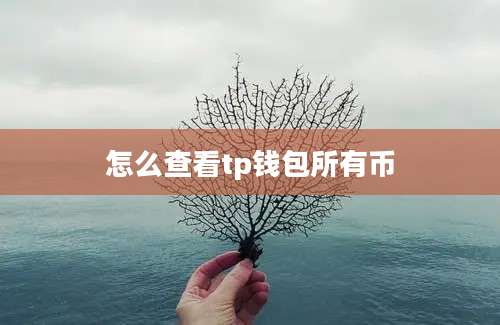怎么查看tp钱包所有币