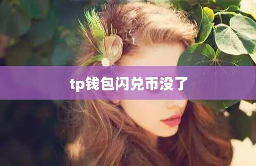 tp钱包闪兑币没了