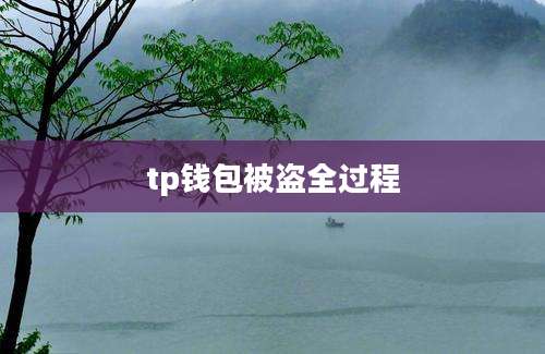 tp钱包被盗全过程