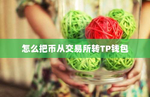怎么把币从交易所转TP钱包