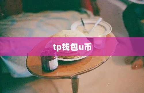 tp钱包u币
