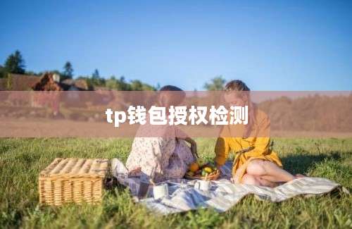 tp钱包授权检测