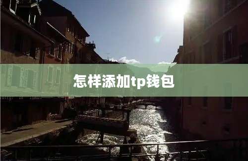 怎样添加tp钱包