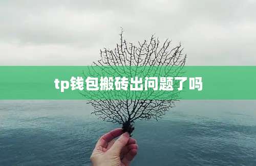 tp钱包搬砖出问题了吗