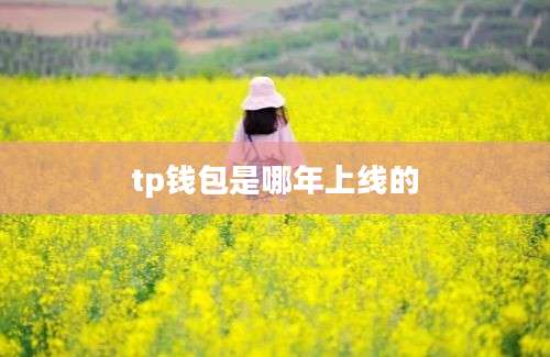 tp钱包是哪年上线的