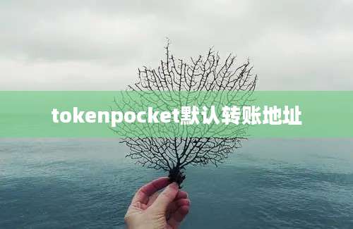 tokenpocket默认转账地址