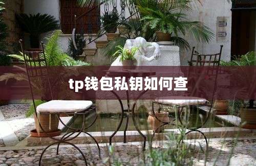 tp钱包私钥如何查