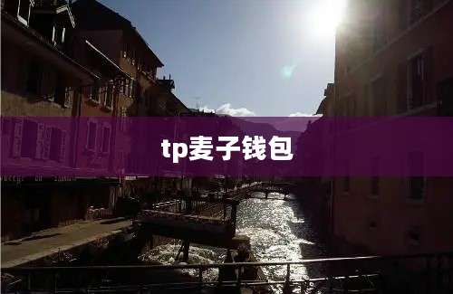 tp麦子钱包