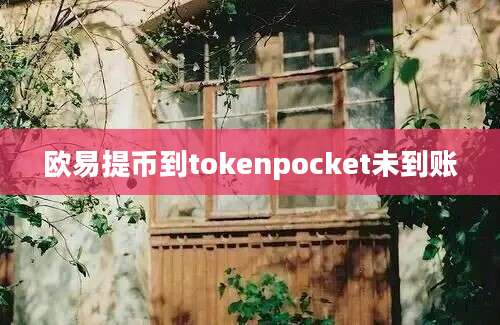 欧易提币到tokenpocket未到账
