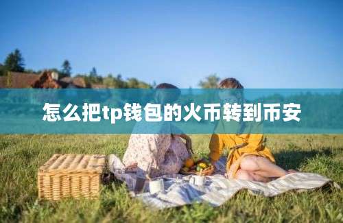 怎么把tp钱包的火币转到币安