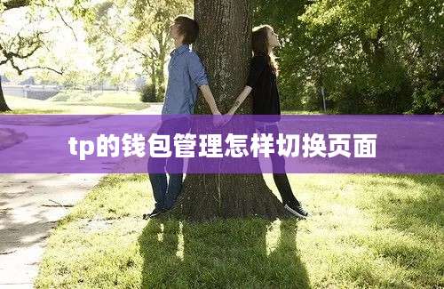 tp的钱包管理怎样切换页面