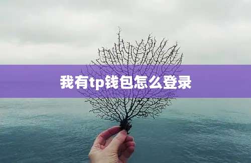 我有tp钱包怎么登录