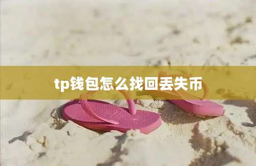 tp钱包怎么找回丢失币