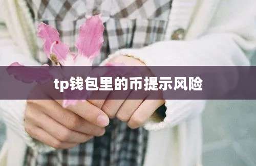tp钱包里的币提示风险