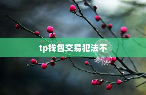tp钱包交易犯法不