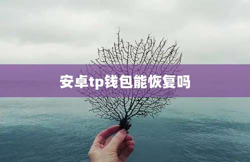 安卓tp钱包能恢复吗