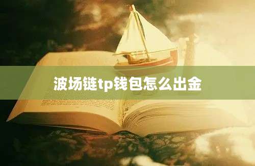 波场链tp钱包怎么出金