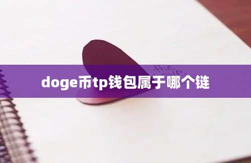 doge币tp钱包属于哪个链