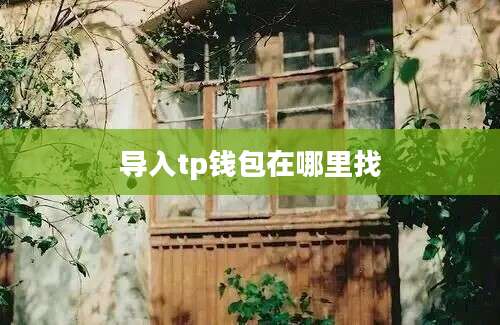 导入tp钱包在哪里找