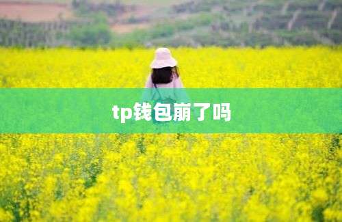 tp钱包崩了吗