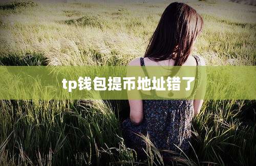 tp钱包提币地址错了