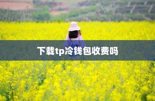 下载tp冷钱包收费吗