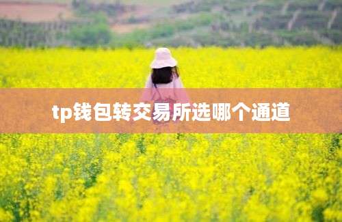 tp钱包转交易所选哪个通道
