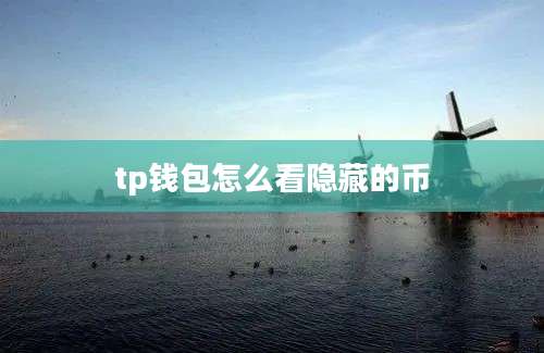 tp钱包怎么看隐藏的币