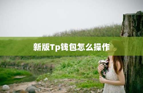 新版Tp钱包怎么操作